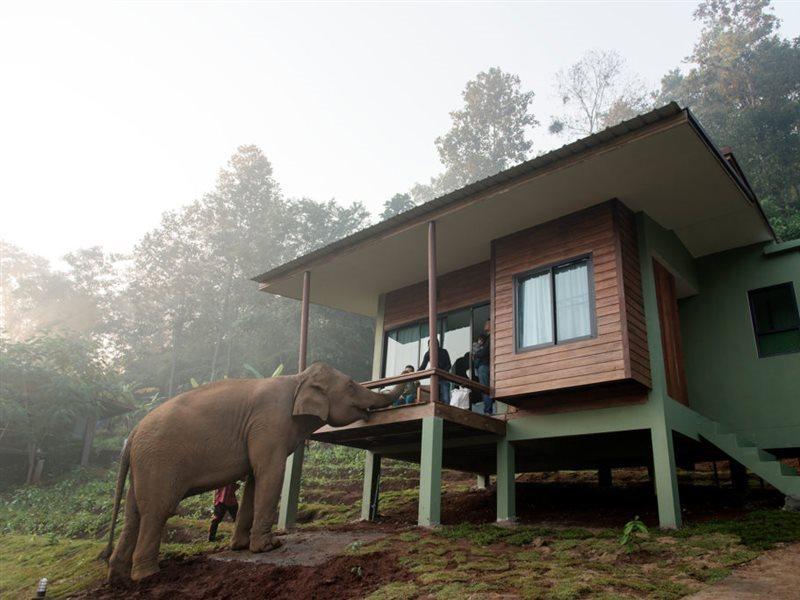 Chiang Mai Elephant Friends Extérieur photo